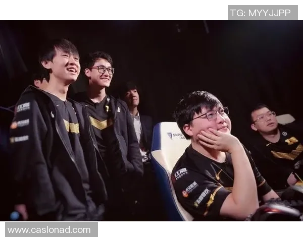 深入探讨RNG战队在比赛中的团队协作表现与数据分析结果